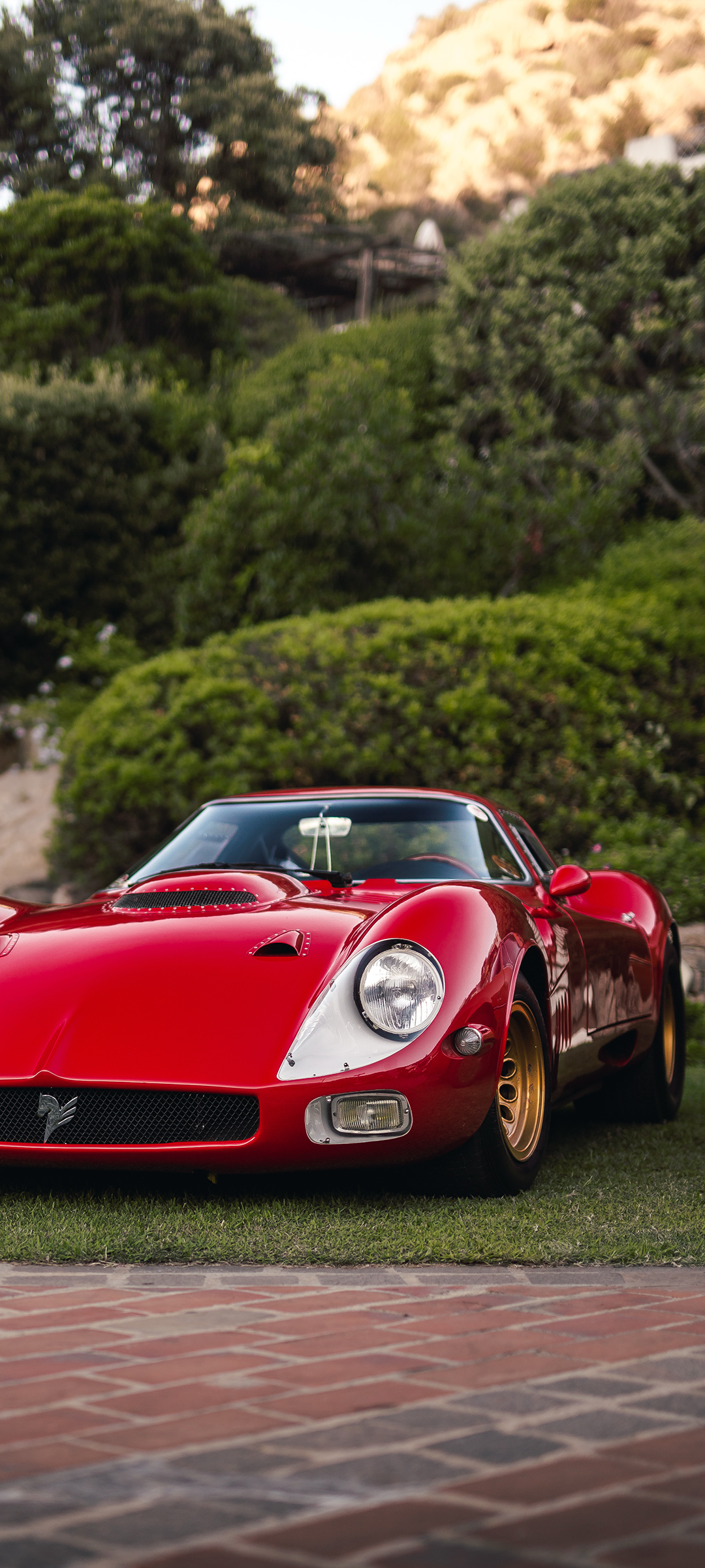 Red Vintage Car on Green Lawn
