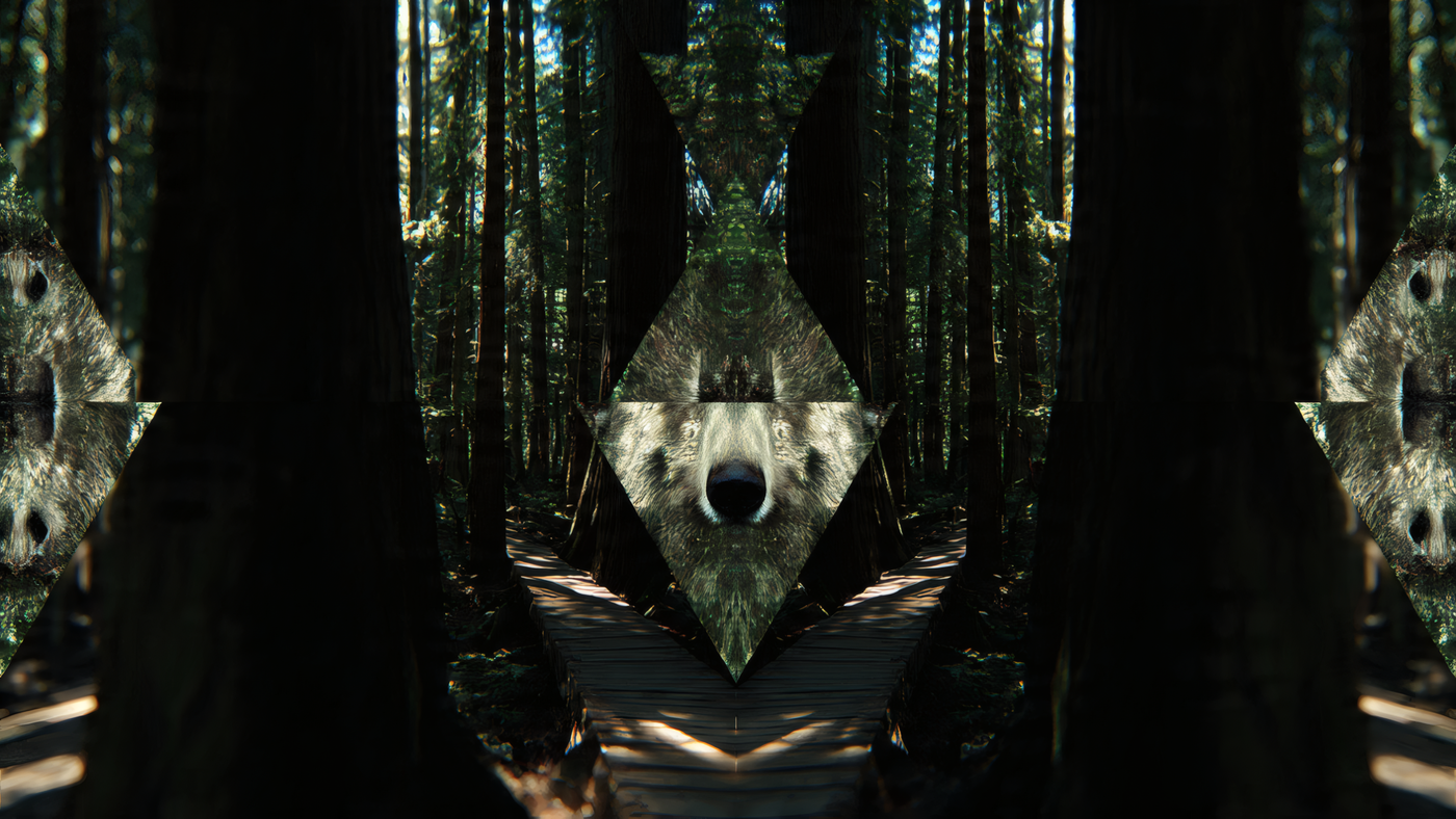 Abstract Forest Wolf Face Illusion