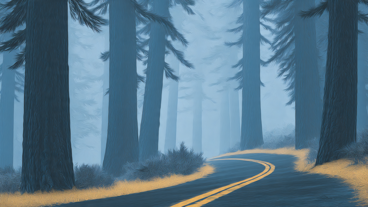 Foggy Road Through Towering Trees