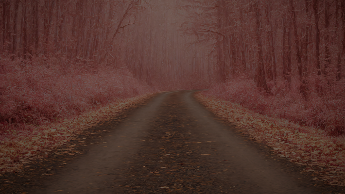 Autumn Road Through Forest Landscape