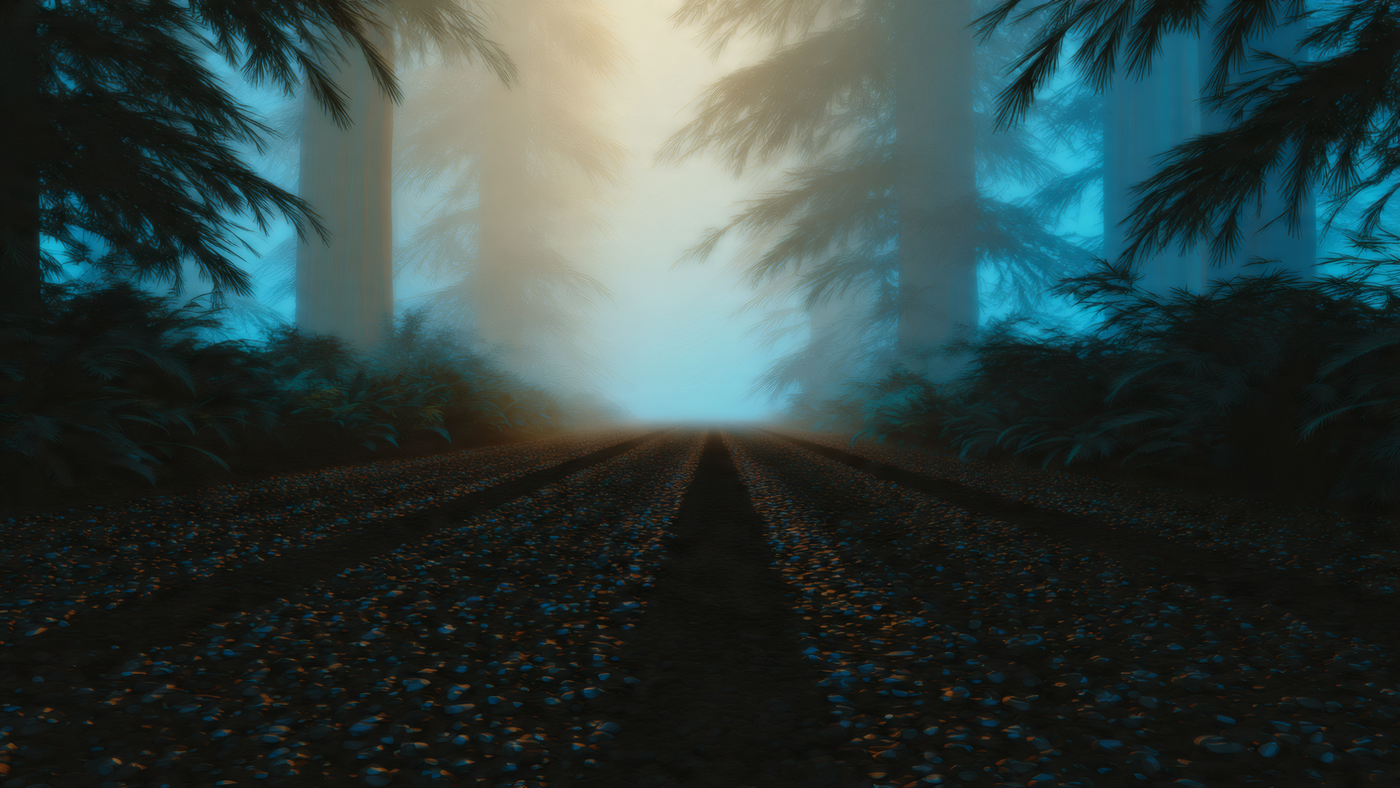 Foggy Forest Road with Tall Trees