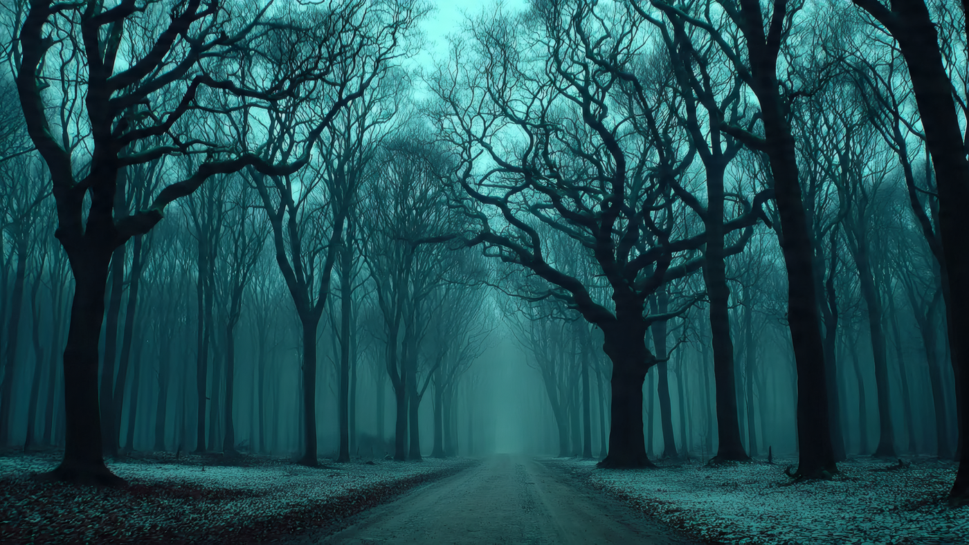 Misty Road Through a Dark Forest