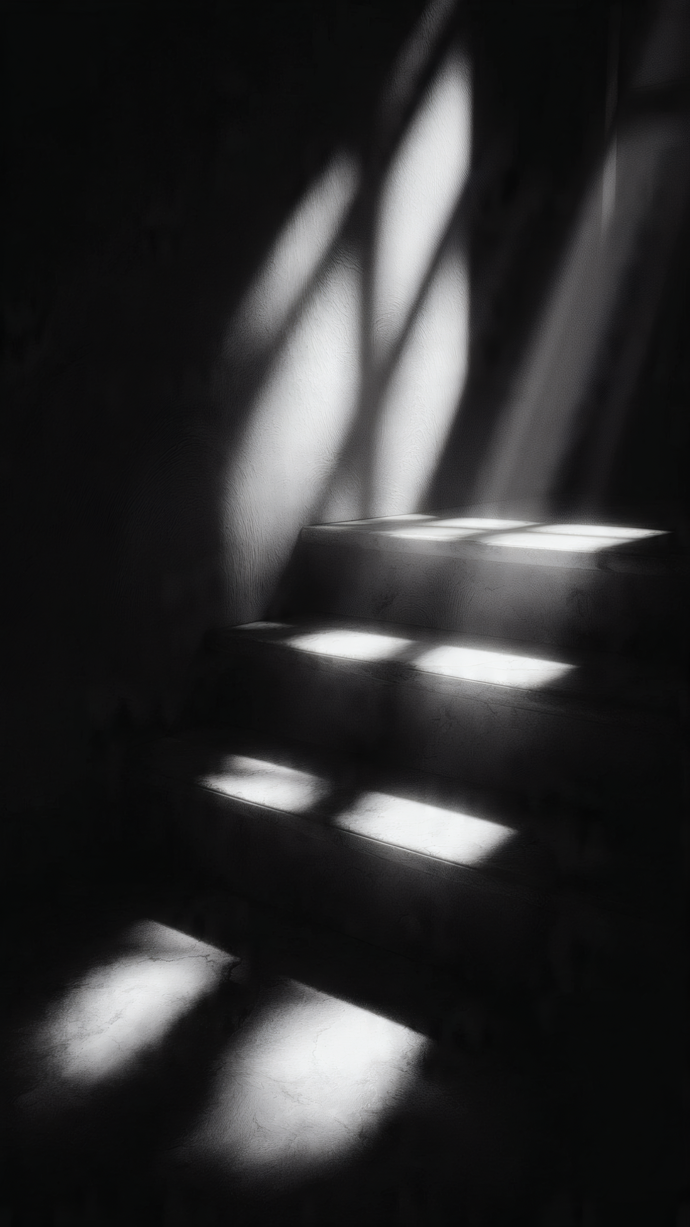 Stairs and Sunlight Shadow in Black and White