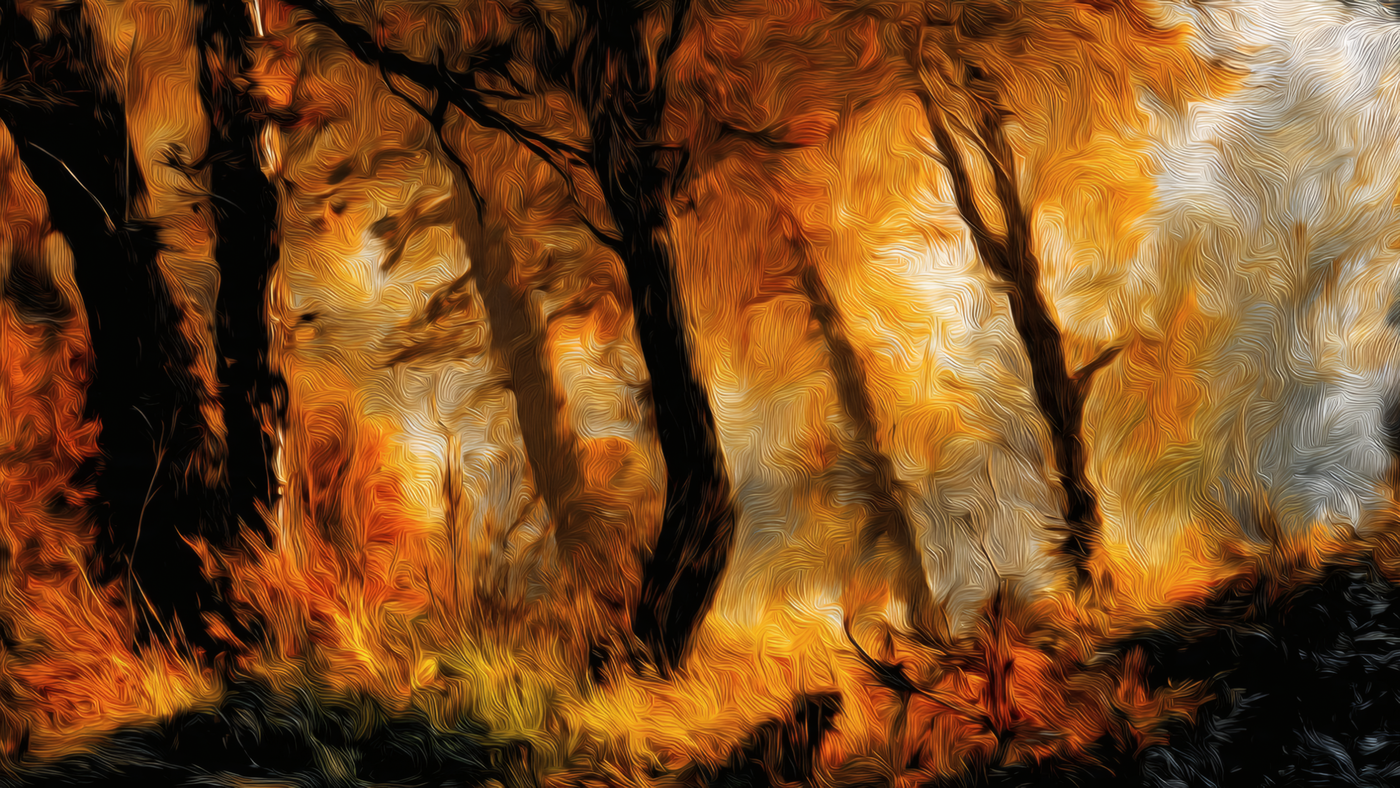 Autumnal Forest Oil Painting