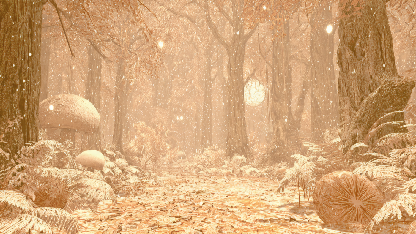 Serene Winter Forest Scene