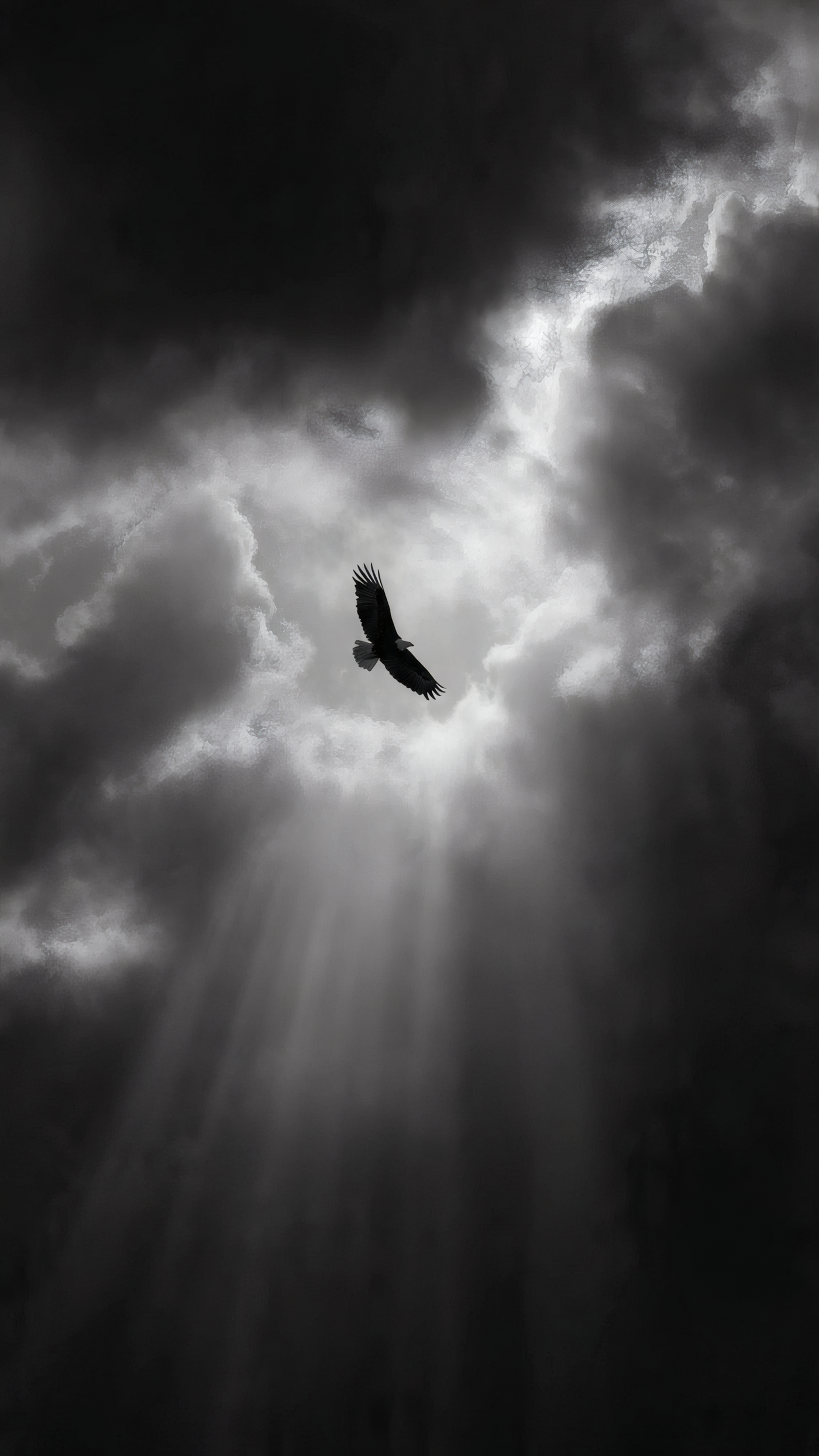 Eagle Soaring Through Storm Clouds Wallpaper