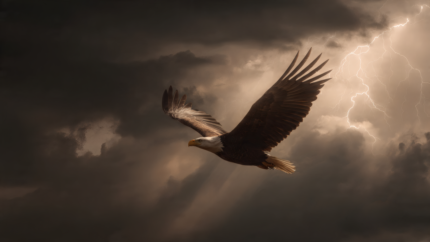 Bald Eagle Soaring Through Stormy Skies Wallpaper