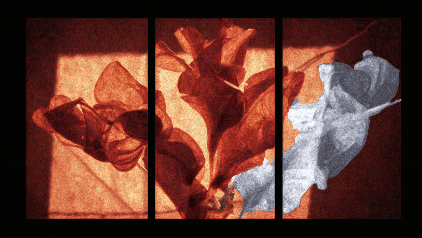 Abstract Floral Triptych Wall Art