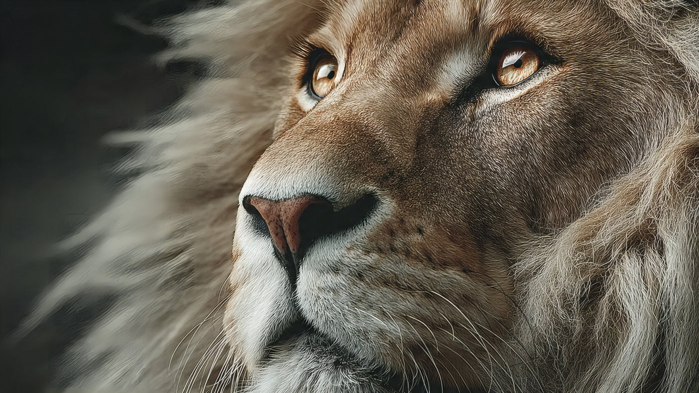 Lion Face Close up Portrait