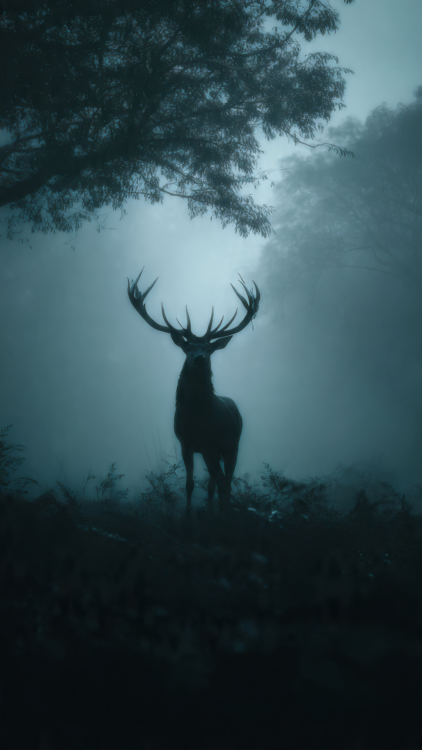 Deer Standing in a Misty Forest