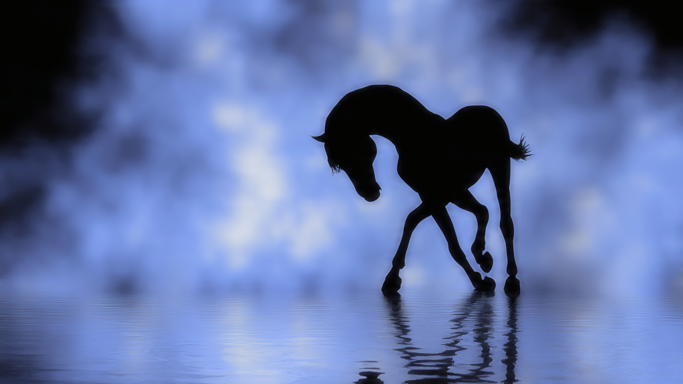Horse Silhouette with Blue Water Reflection