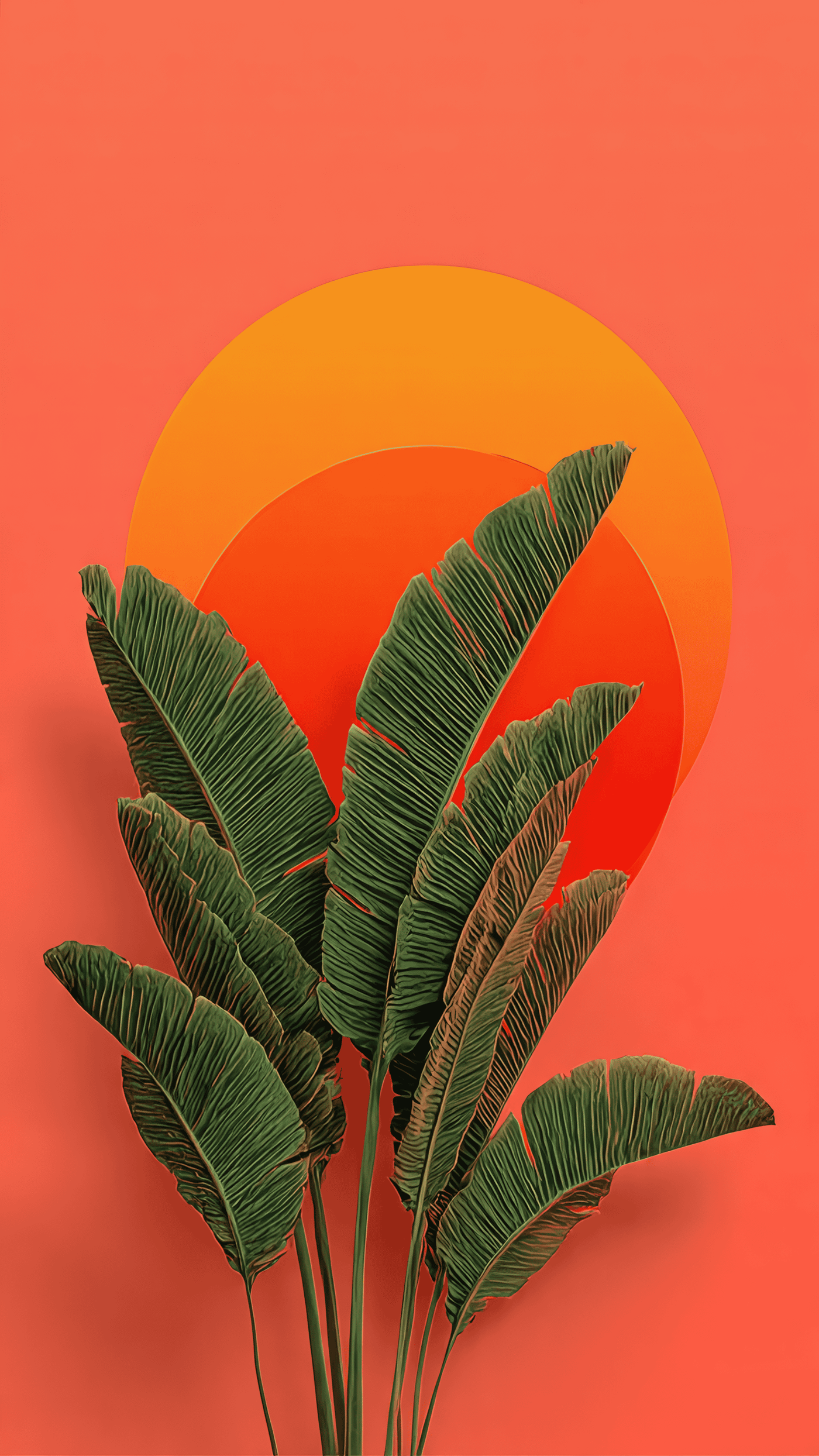 A Minimalist Illustration of a Single Large