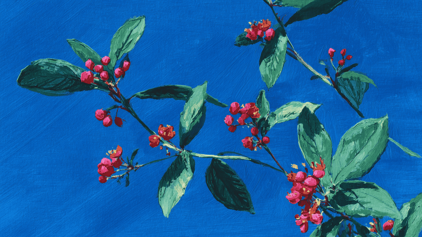 Red Berries and Green Leaves Art