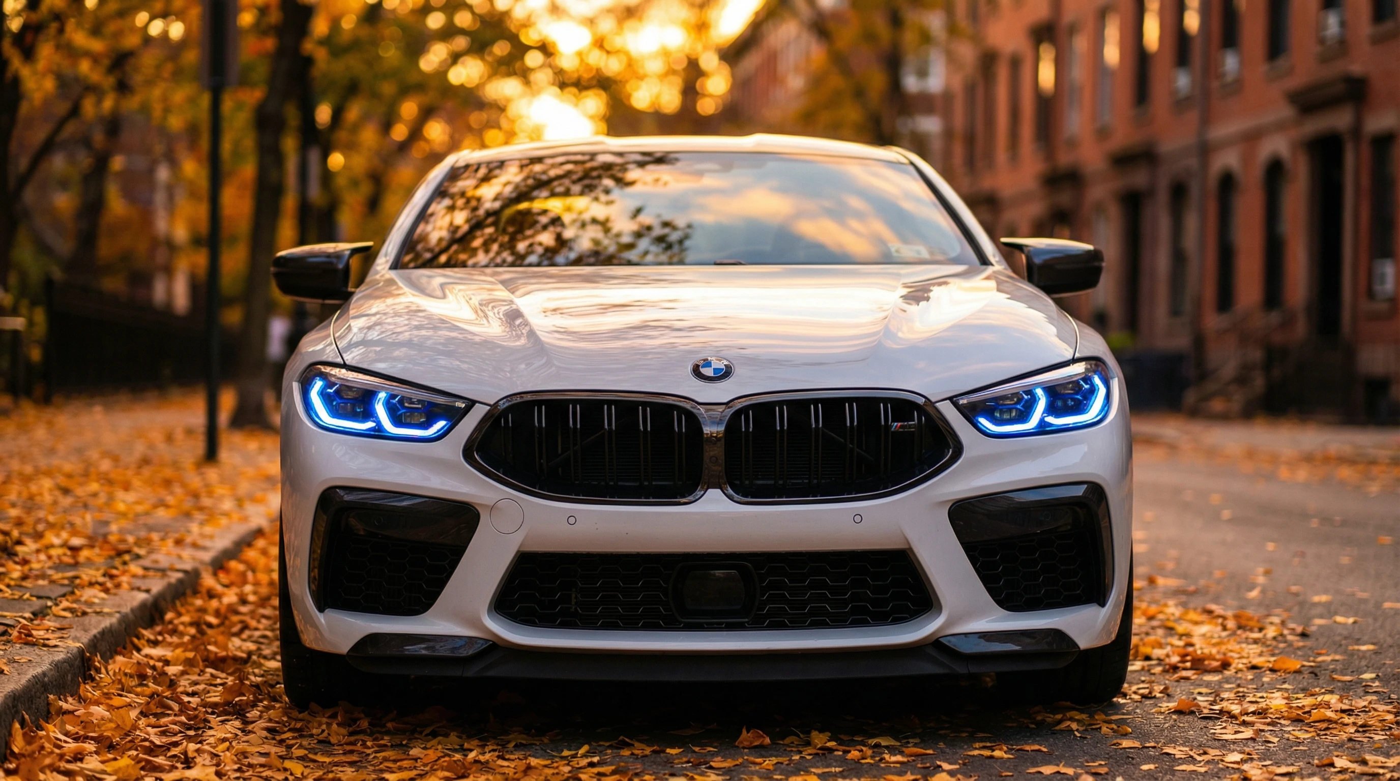 Bmw M8 in Autumn Glow on Leaf-strewn Street