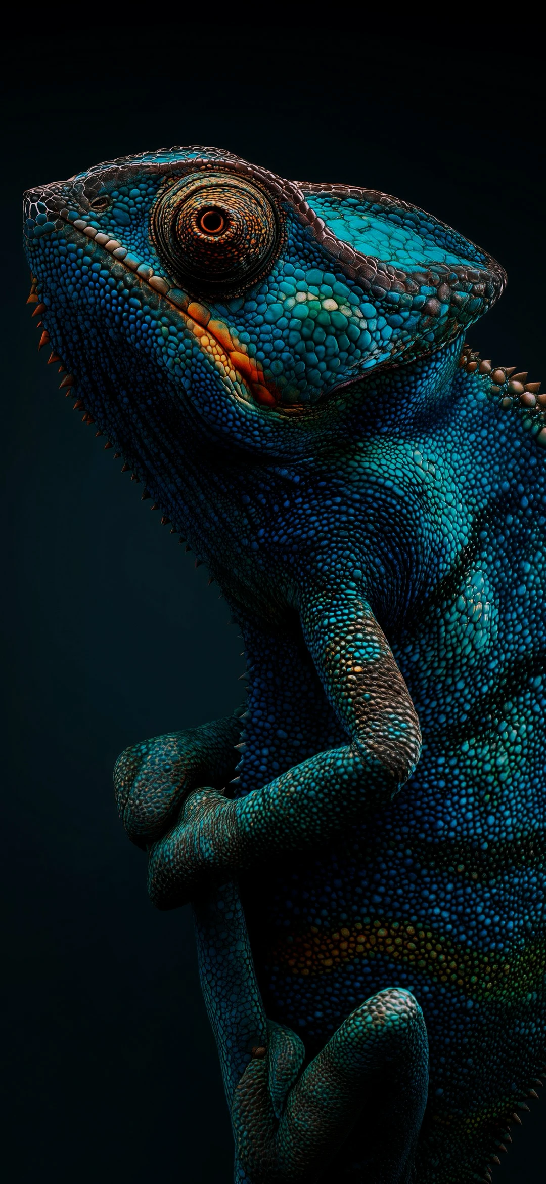 Detailed Portrait of a Blue and Turquoise Chameleon