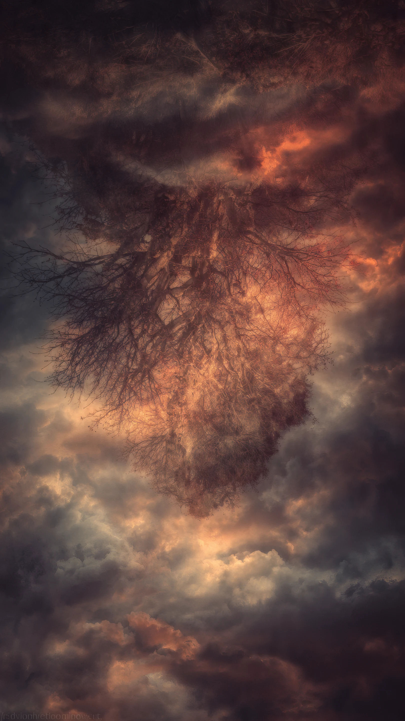Dramatic Tree Silhouette Against a Cloudy Sky