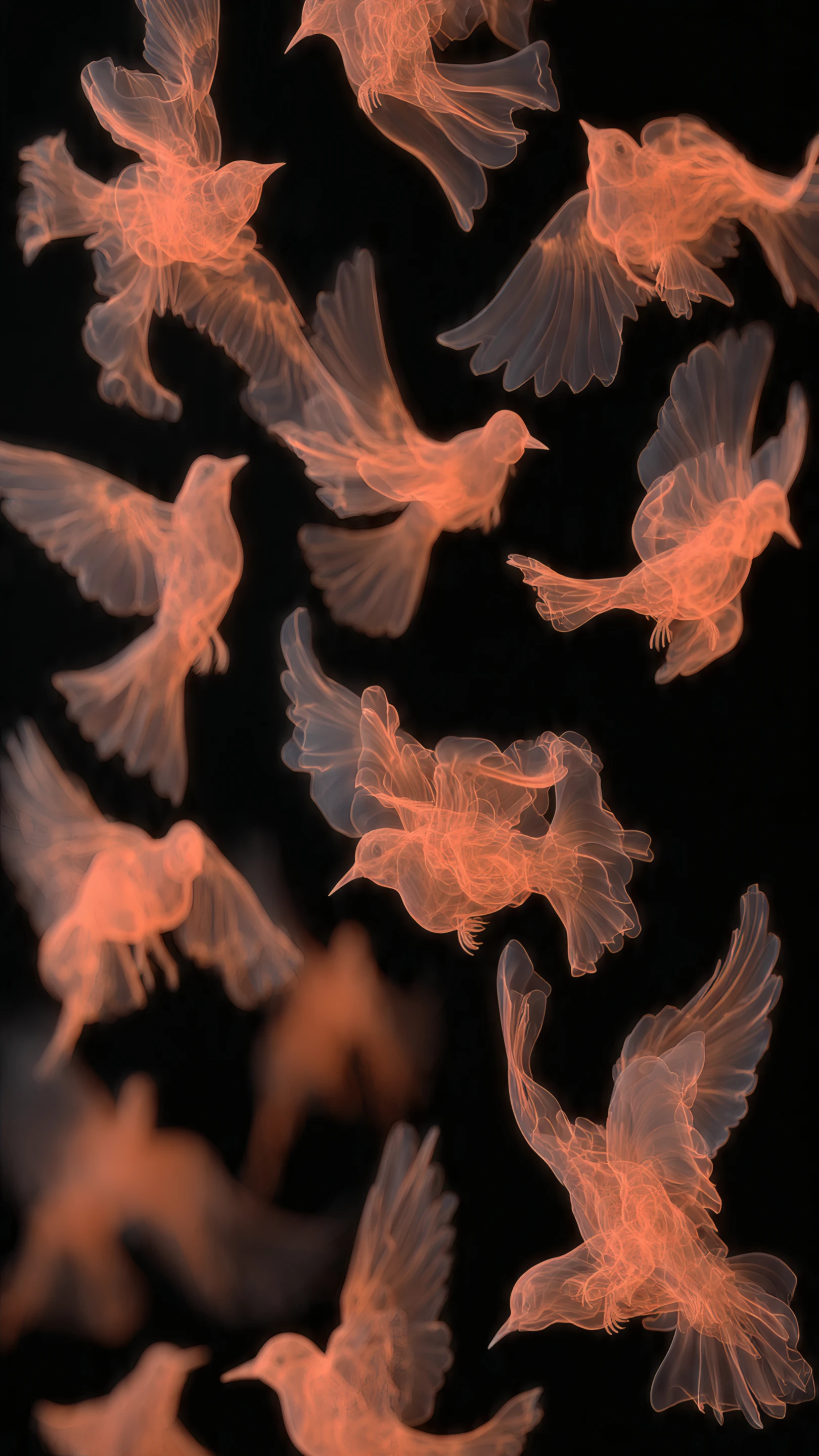 Dreamlike Birds Translucent Orange Flight on Black
