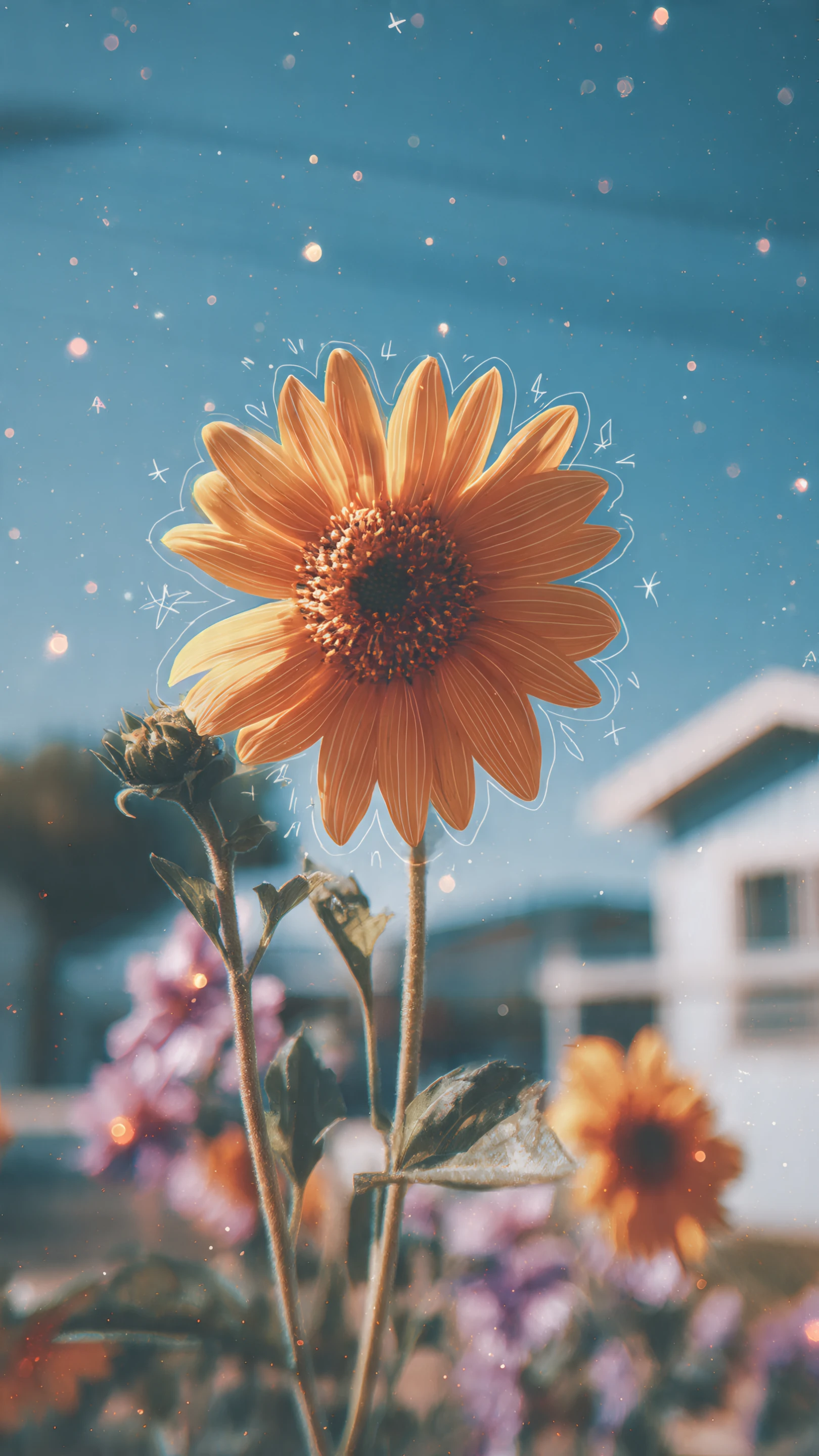 Dreamy Sunflower with Hand-drawn Style Outline