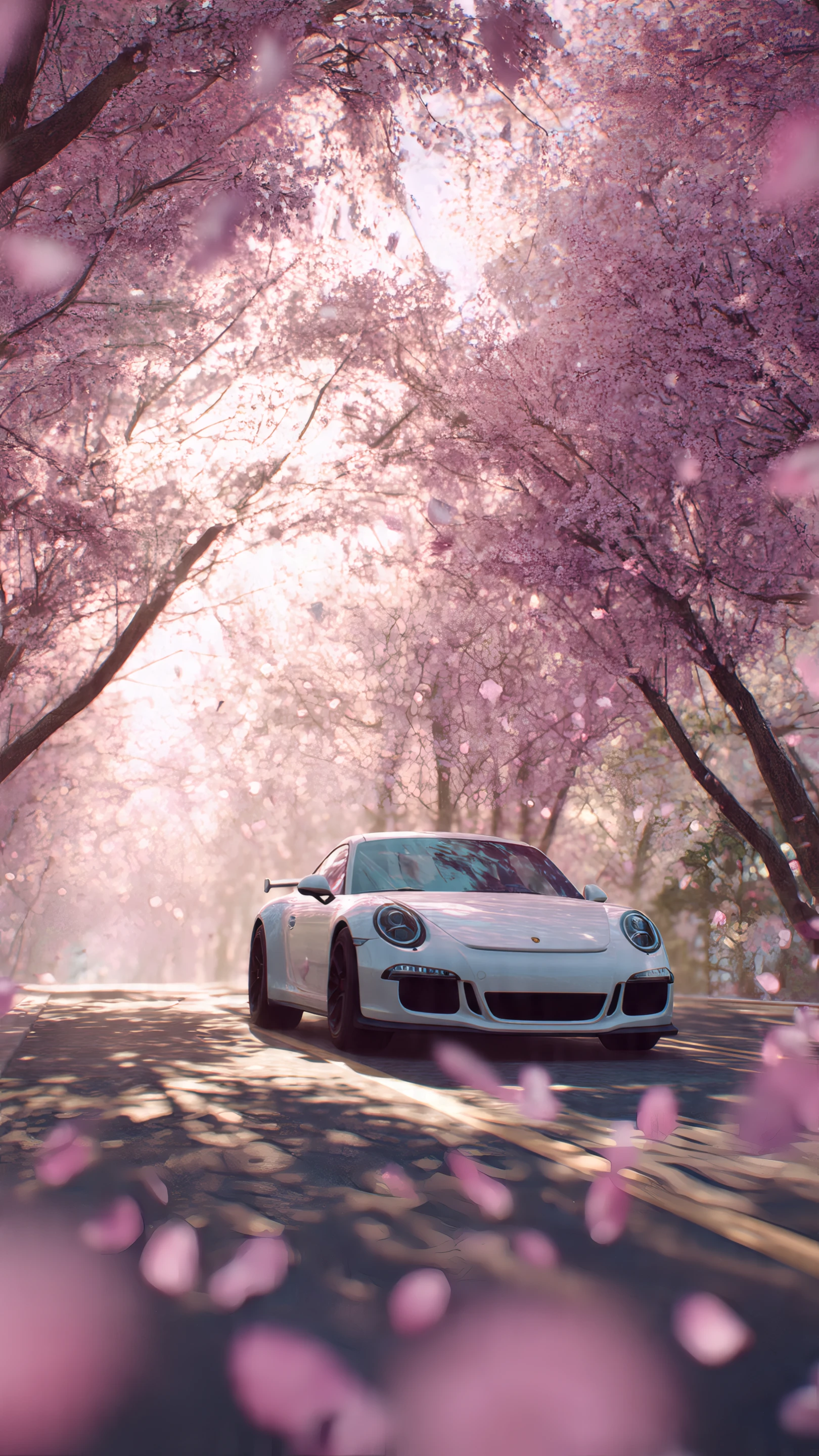 Porsche Driving Through a Tunnel of Cherry Blossoms
