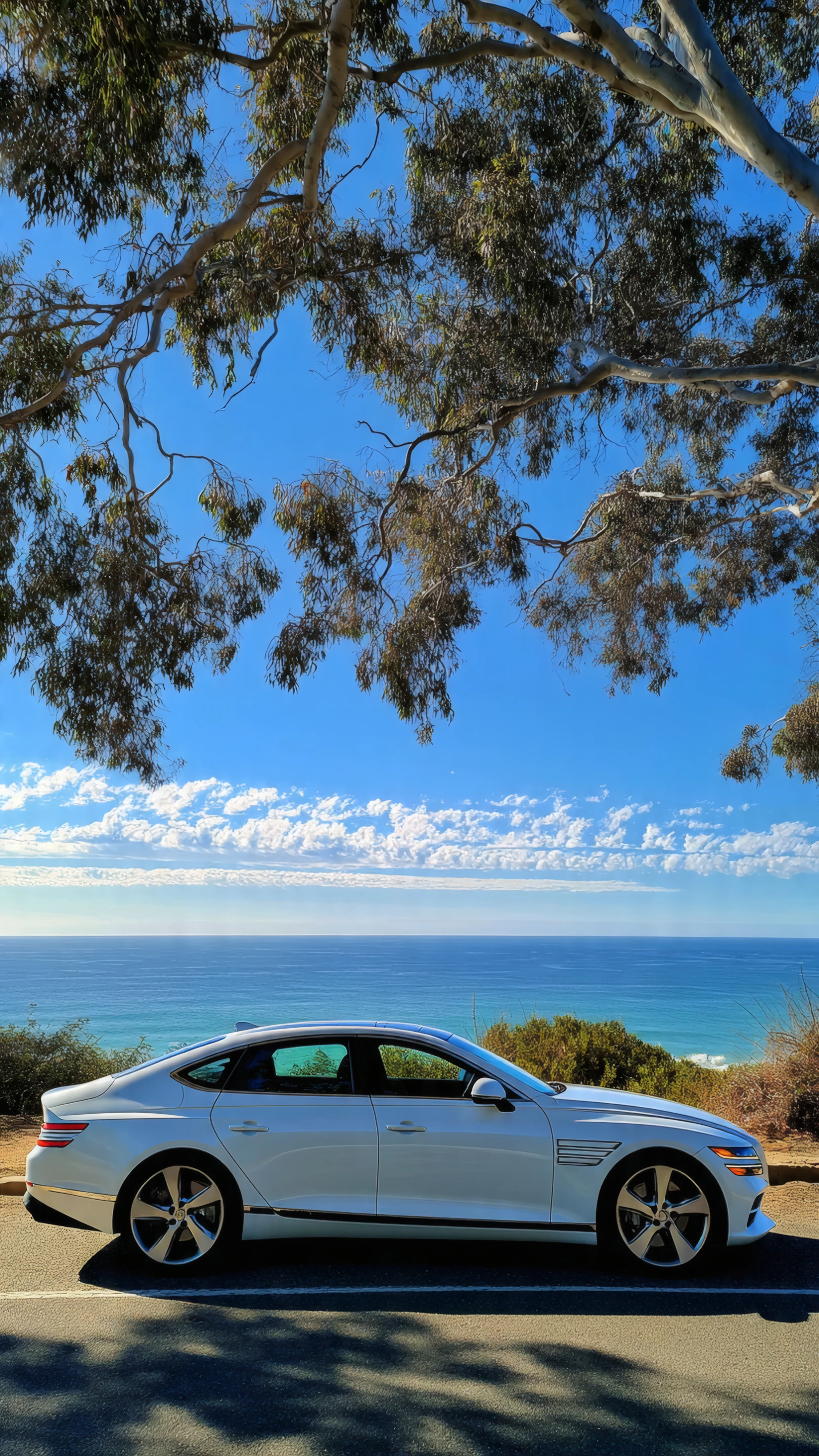 Sleek White Car Overlooking the Ocean on a Sunny Day
