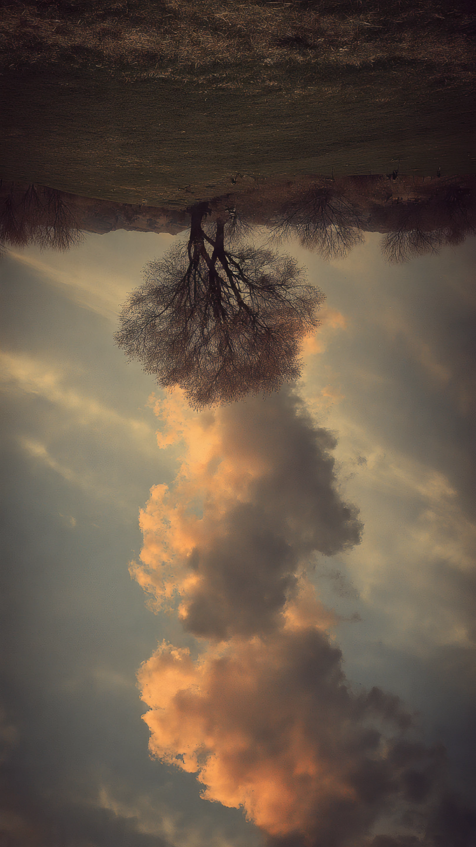 Surreal Inverted Landscape with Bare Tree and Clouds